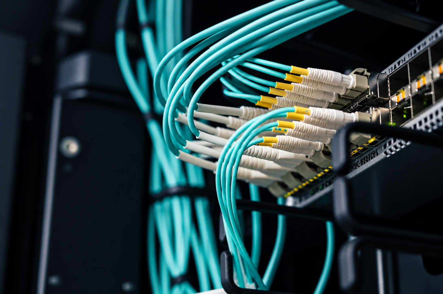 How Does Colocation Work? illustration
